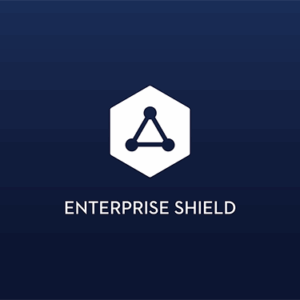 DJI Matrice 210 V2 Enterprise Shield Basic