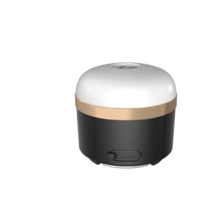 Ecoflow Camping Light