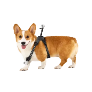 Insta360 Pet Harness Mount Size M