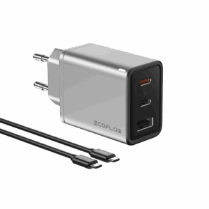 EcoFlow Rapid charger 65w