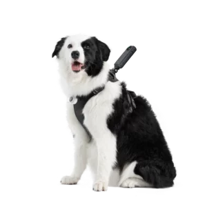 Pet Harness Mount Size L